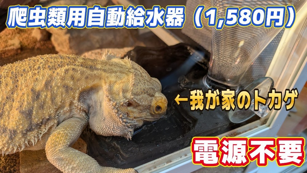 サムネ