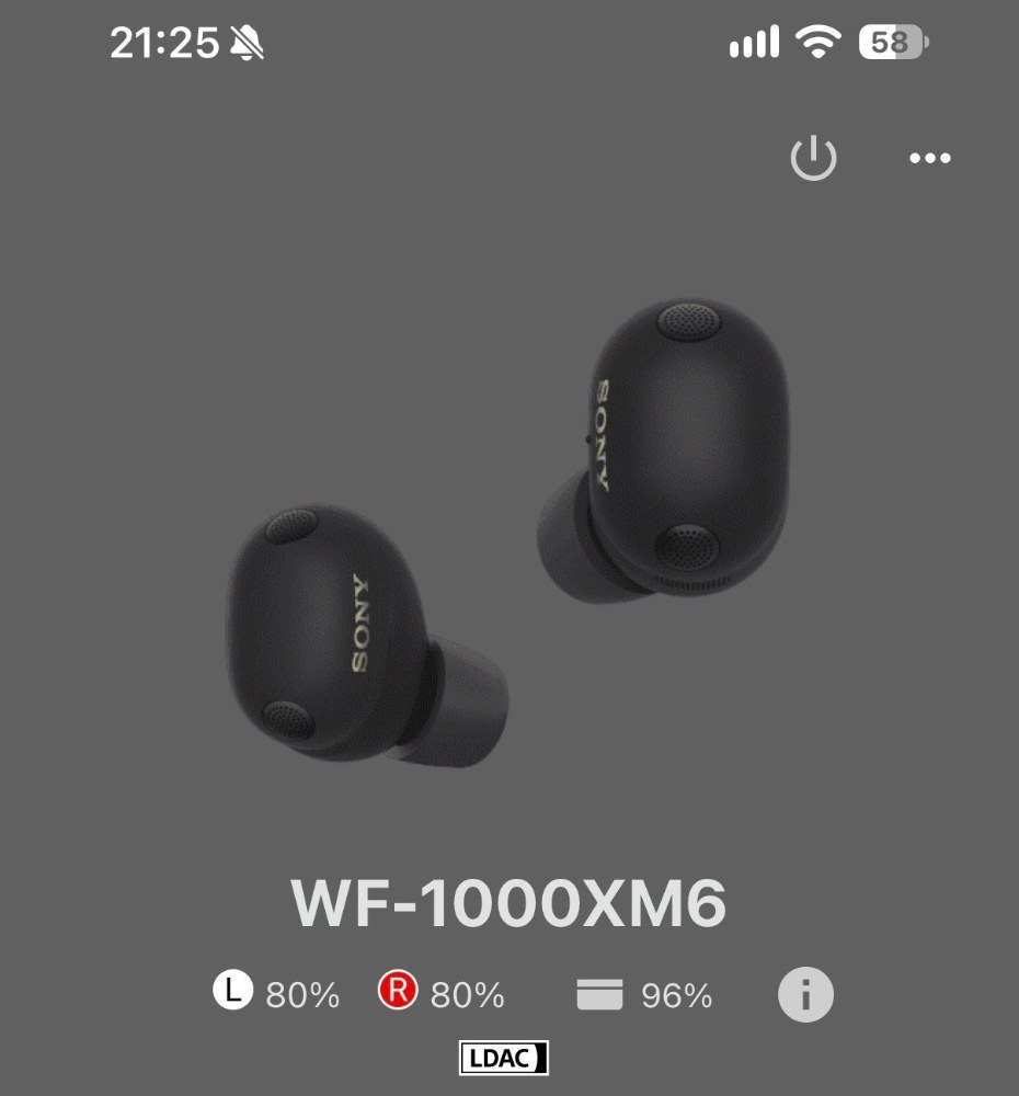 iPhoneでもLDAC聴けるんだぞの図