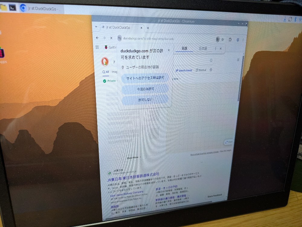 ただブラウザの起動は遅い