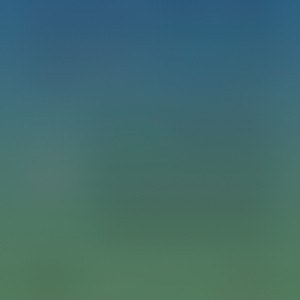 みんながんパン