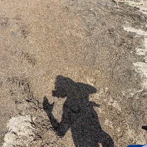 イノッチ