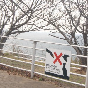 怪獣がおー