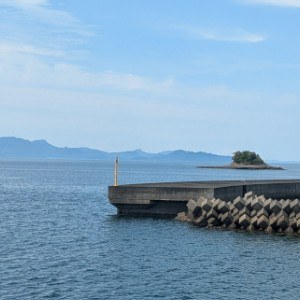 ねぎ
