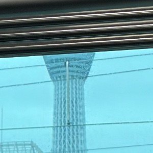 義務教育中