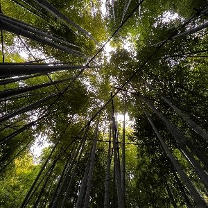 子供部屋キッズ