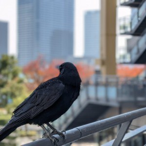 小さい段差